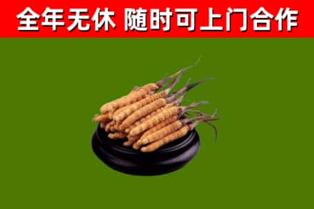 芝罘区烟酒回收冬虫夏草.jpg